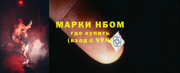 ГАЛЛЮЦИНОГЕННЫЕ ГРИБЫ Кукмор