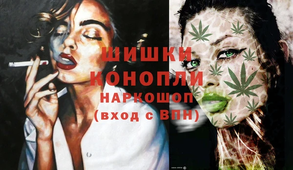 PSILOCYBIN Лагань
