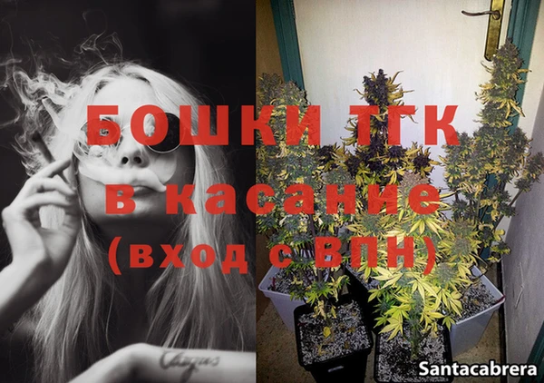 ГАЛЛЮЦИНОГЕННЫЕ ГРИБЫ Кукмор