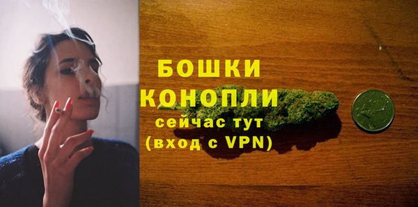 ГАЛЛЮЦИНОГЕННЫЕ ГРИБЫ Кукмор
