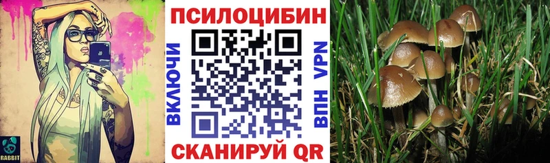 мориарти состав  Курганинск  Галлюциногенные грибы Psilocybine cubensis 